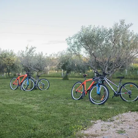 Fairy Of Velebit Unique Countryside House Nyaraló
