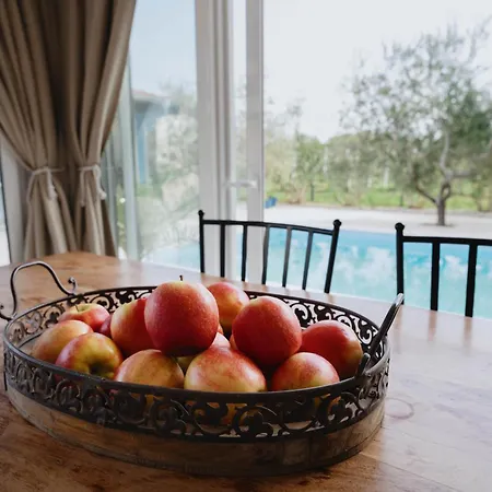Σπίτι διακοπών Fairy Of Velebit - Countryside House With Heated Pool & Organic Garden Near Zadar